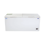 Fujidenzo IFC-20ADF2